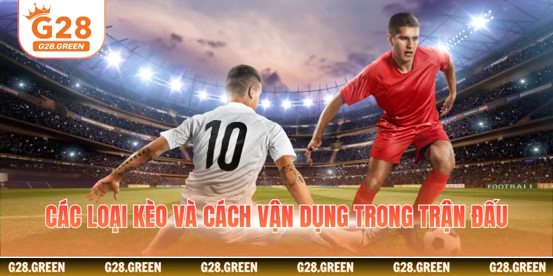 Các loại kèo và cách vận dụng trong trận đấu