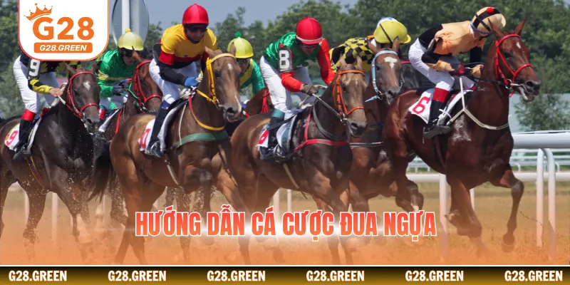 Hướng dẫn cá cược đua ngựa